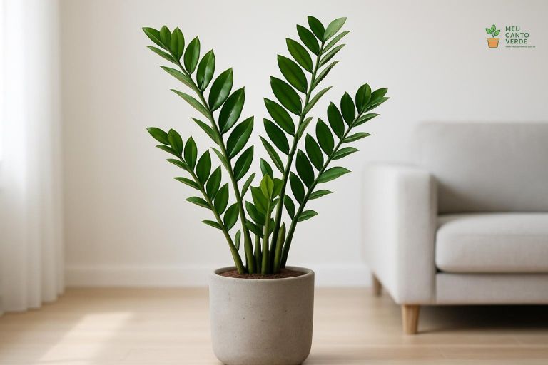 Planta Zamioculca em um vaso de cimento cinza em uma sala de estar moderna.