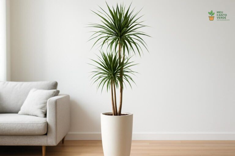 Planta Dracena Marginata alta e esguia em um vaso de chão, com seu tronco fino e folhas pontiagudas, em uma sala de estar moderna.