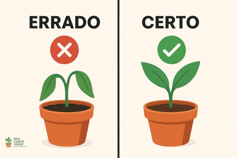 Infográfico comparando a rega errada, com solo encharcado e planta murcha, e a rega certa, com solo úmido e planta saudável.