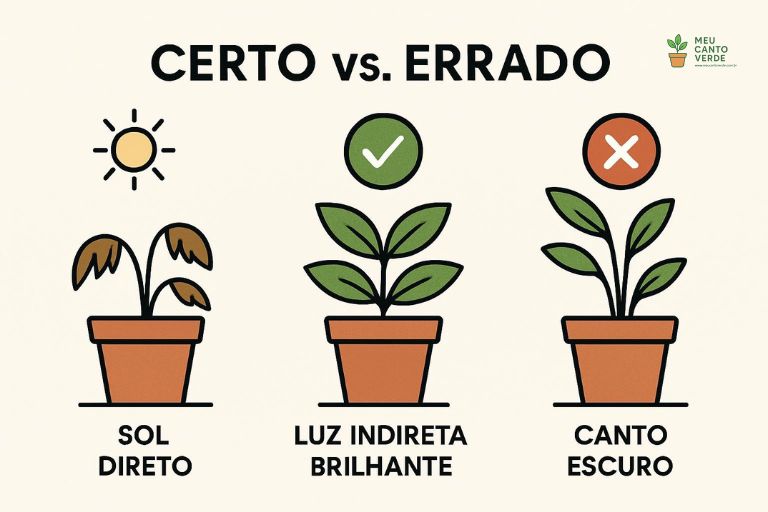 Infográfico mostrando os efeitos da luz em plantas: folhas queimadas no sol direto, planta saudável na luz indireta e planta estiolada no escuro.