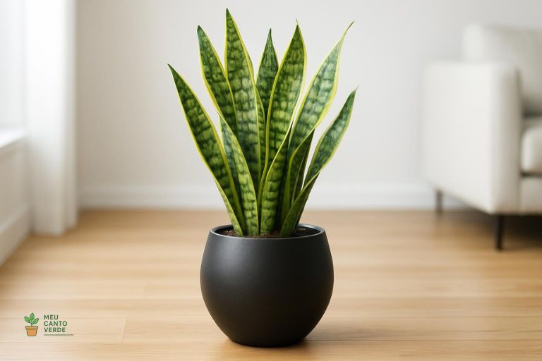 Planta Espada-de-São-Jorge em um vaso preto moderno em um ambiente de sala com piso de madeira.