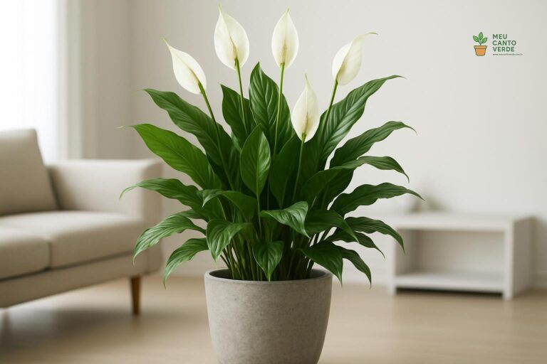 Lírio-da-Paz com flores brancas em um vaso cinza texturizado em uma sala clara.