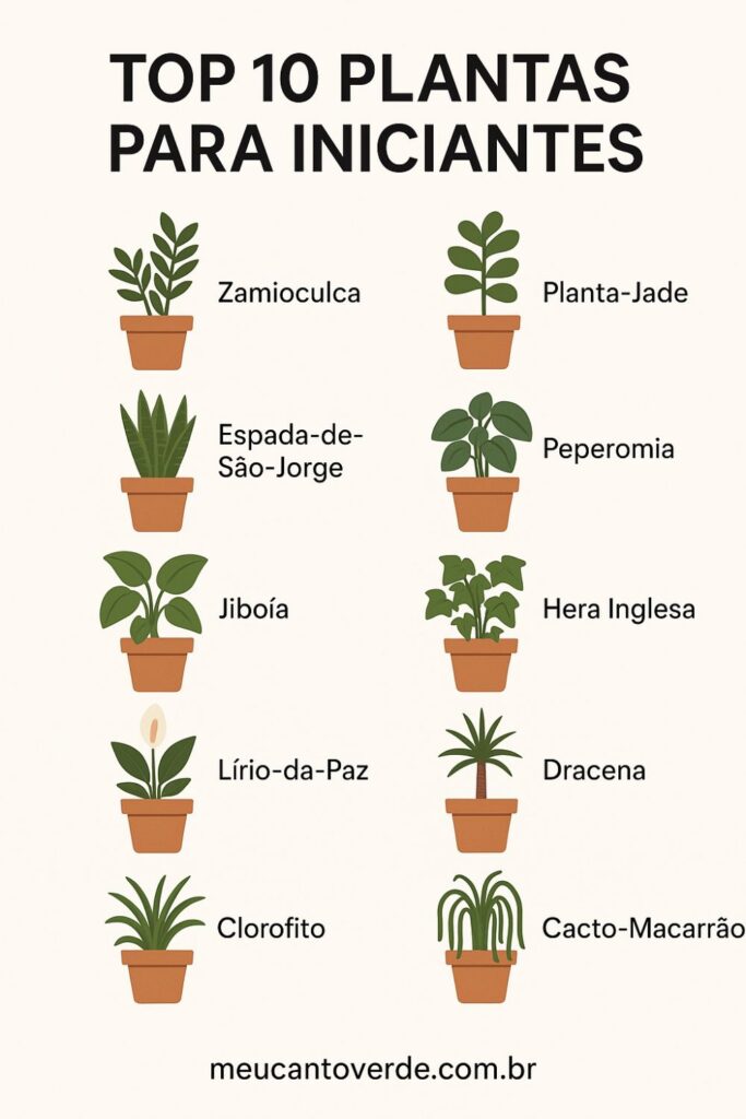 Infográfico Top 10 plantas de interior perfeitas para iniciantes, com ilustrações de cada planta.