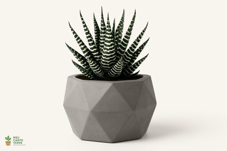 Suculenta Haworthia fasciata em um vaso de cimento geométrico, destacando suas folhas listradas.