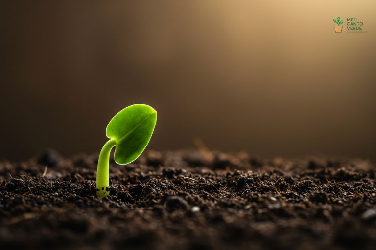 Pequeno broto de Zamioculca emergindo da terra, simbolizando o crescimento de uma nova planta.