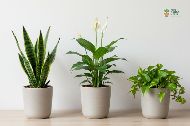 Três plantas que purificam o ar (Espada-de-São-Jorge, Lírio-da-Paz e Jiboia) em vasos de cerâmica sobre um fundo claro.