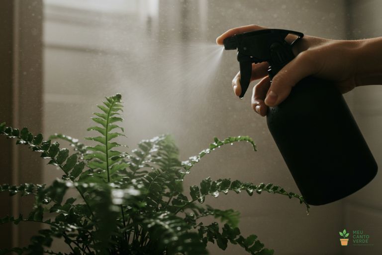 Close-up de um borrifador criando uma névoa densa ao redor das frondes delicadas da samambaia em um banheiro com vapor.