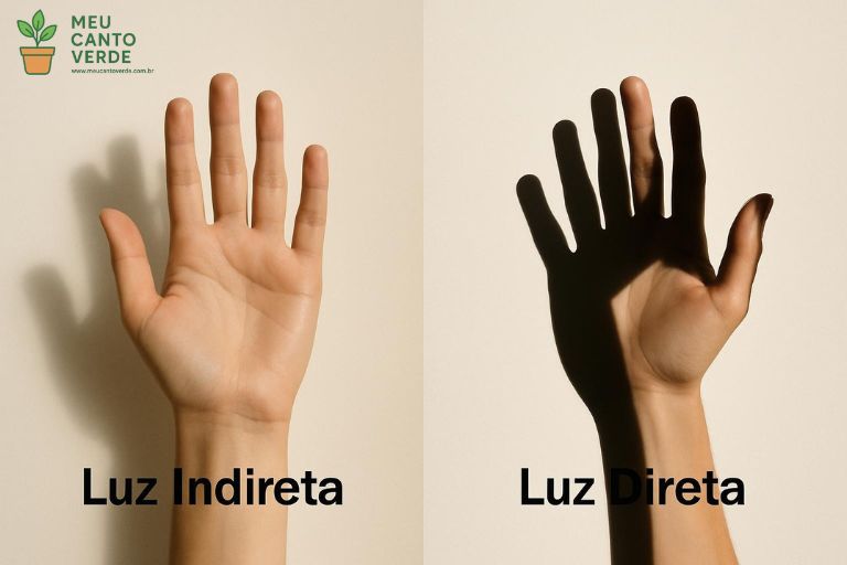 Demonstração do teste da mão para medir a intensidade da luz para plantas, comparando uma sombra difusa com uma sombra nítida.