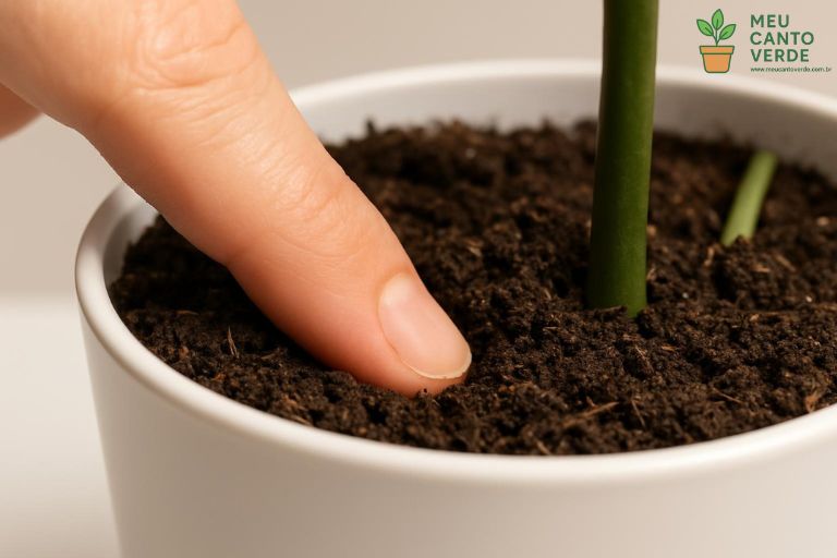 Mão inserindo o dedo indicador no solo de um vaso de planta para demonstrar o 'teste do dedo' para verificar a umidade.