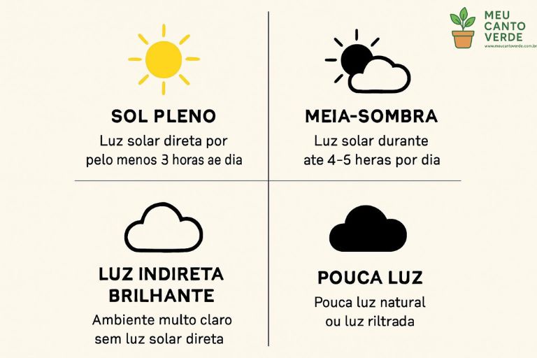 Infográfico explicando os quatro tipos de luz para plantas: Sol Pleno, Meia-Sombra, Luz Indireta Brilhante e Pouca Luz.