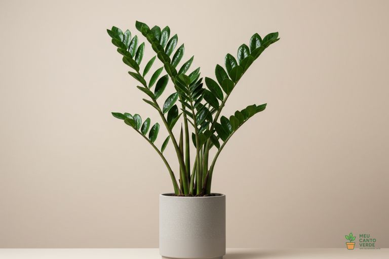 Planta Zamioculca em um vaso moderno, uma das melhores plantas de sombra para apartamentos.