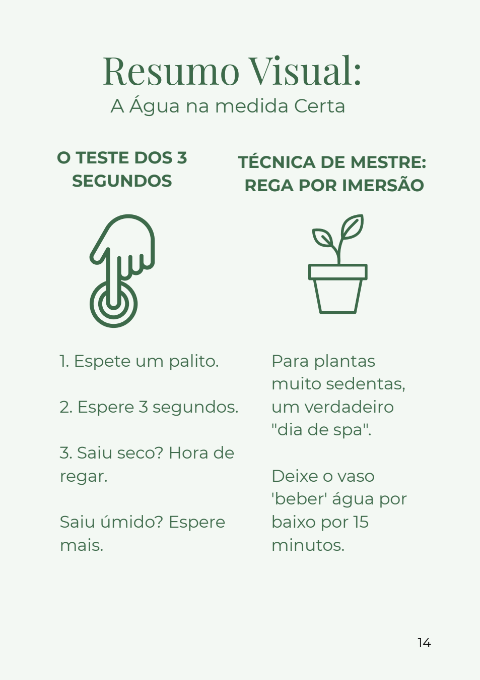 Página do Teste dos 3 Segundos
